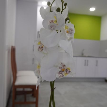 Apartamento Sanin 3 Lumbrales Exteriör bild