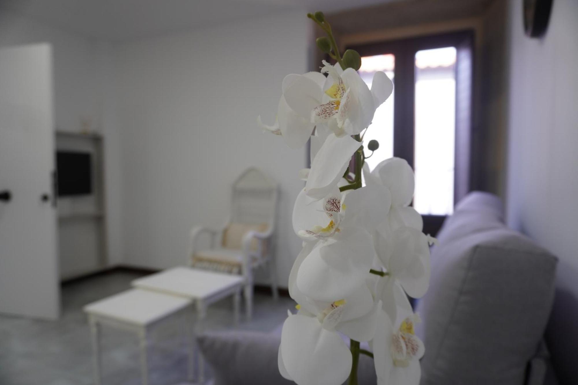 Apartamento Sanin 3 Lumbrales Exteriör bild