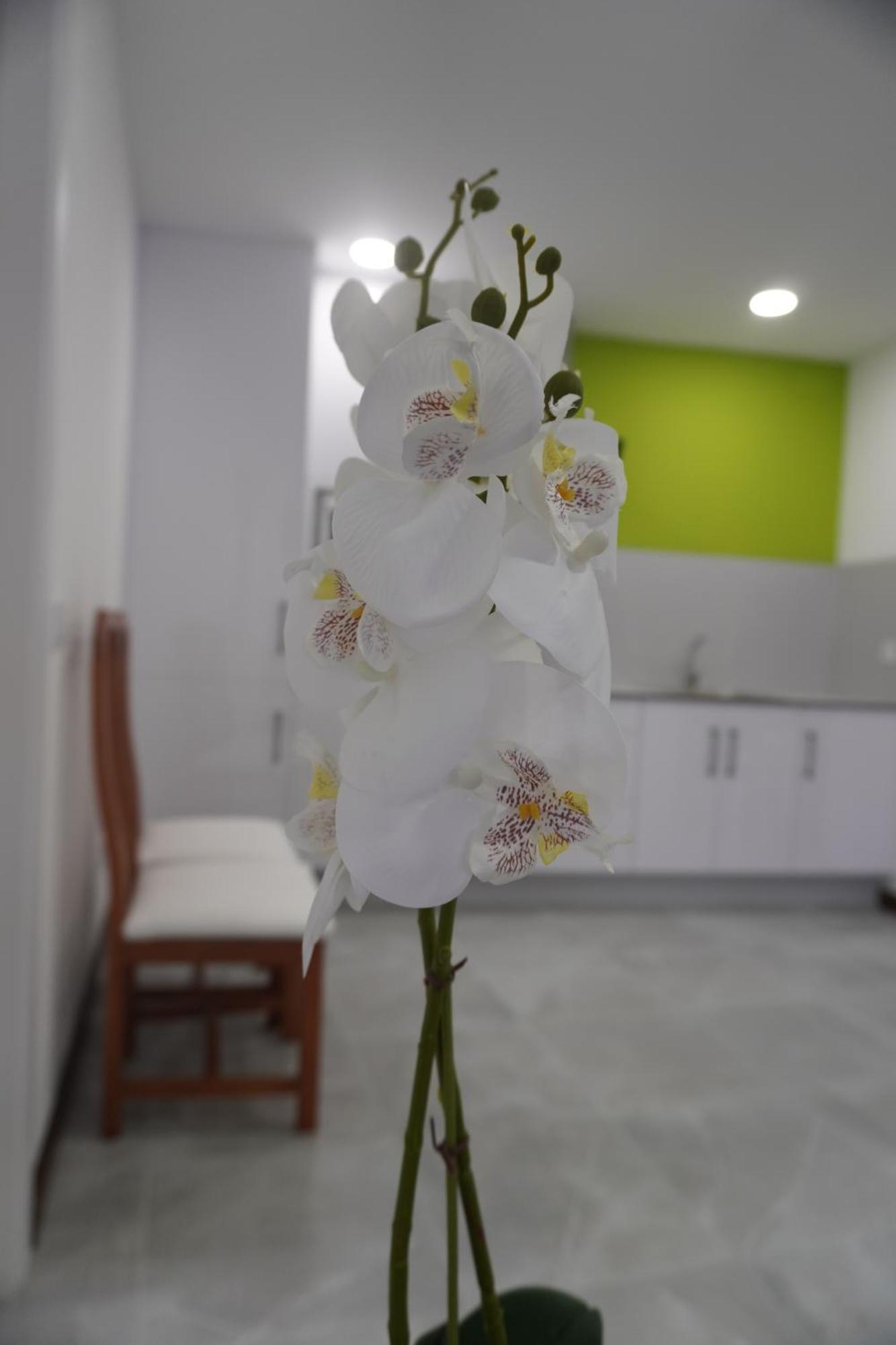 Apartamento Sanin 3 Lumbrales Exteriör bild
